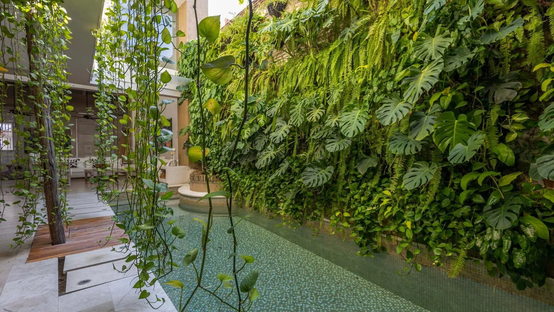 Casa Charlie'S Can Cartagena 0*,  كولومبيا